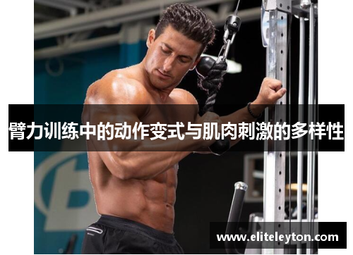 臂力训练中的动作变式与肌肉刺激的多样性